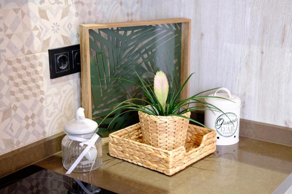 Apartamento Vintage En El Centro De Malaga Bagian luar foto